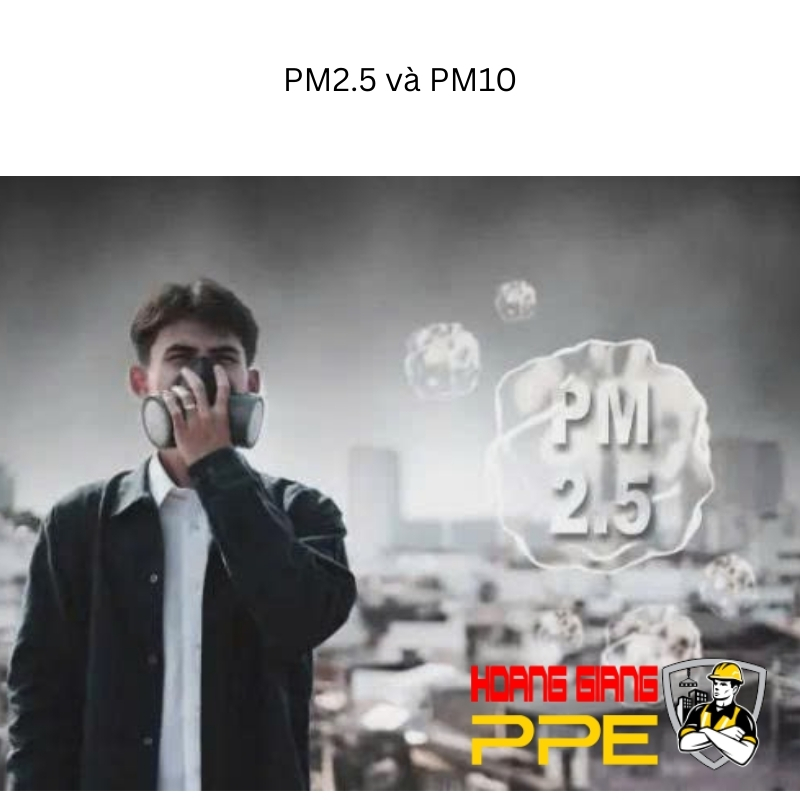 PM 2.5